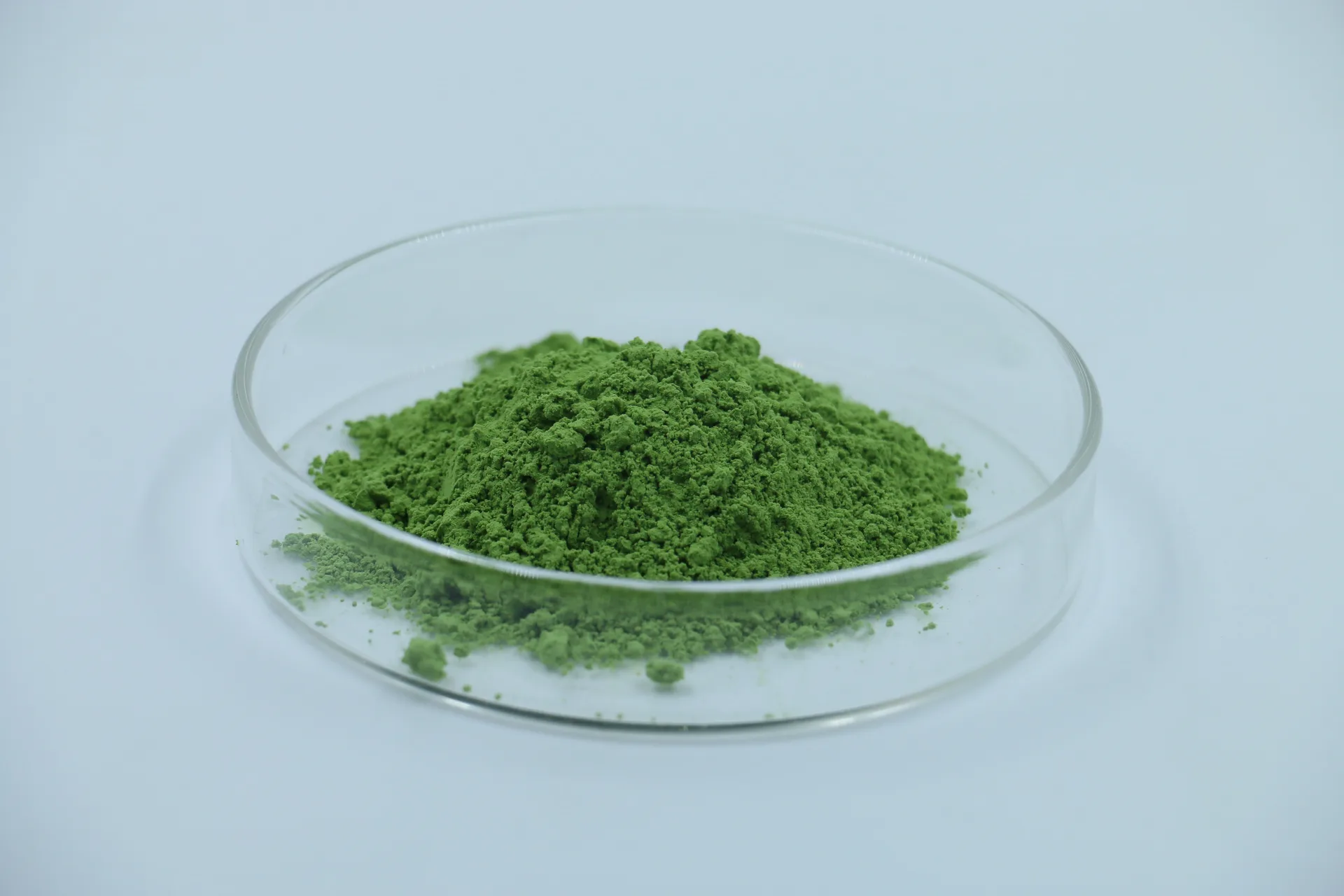 Jade-green SteviCha whole-leaf stevia powder in a glass dish